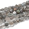 Natural Labradorite Beads Strands G-G018-24-1