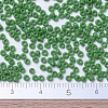 MIYUKI Round Rocailles Beads SEED-JP0008-RR0411-4