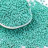 8/0 Baking Paint Glass Seed Beads X1-SEED-M012-02A-41-1
