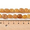 Dyed Natural Malaysia Jade Beads Strands G-P528-I15-01-2