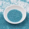 MIYUKI Delica Beads SEED-X0054-DB2382-2