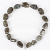 Natural Gemstone Labradorite Rough Nuggets Bead Strands G-E218-04-2