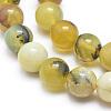 Natural Yellow Opal Round Bead Strands G-M296-02-6mm-3