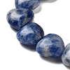 Natural Blue Spot Jasper Beads Strands G-B022-26C-3