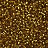 TOHO 11/0 Round Beads SEED-XTR11-0022CF-2
