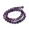 Natural Lepidolite/Purple Mica Stone Beads Strands G-F626-04-3