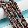 Natural Rhodonite Beads Strands G-Z030-A14-01-4