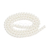 Glass Pearl Beads Strands HY-G002-01B-01-3