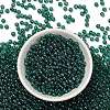 FGB 6/0 Grade A Round Glass Seed Beads SEED-Q011-4mm-F520-5