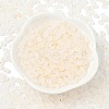 Frosted Glass Beads X1-FGLA-D300-01L-2