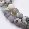 Natural Tree Agate Bead Strands X-G-J376-11F-8mm-3