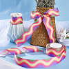 10M Gradient Color Polyester Grosgrain Ribbon OCOR-WH0078-74B-4