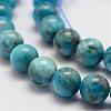 Natural Apatite Beads Strands G-D856-01-10mm-3