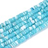 10 Strands 10 Colors Natural Trochid Shell/Trochus Shell Beads Strands SSHEL-N040-21-3