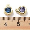 Rack Plating Alloy Rhinestone Charms PALLOY-F311-17G-3