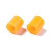 PE Fuse Beads DIY-R013-91-2