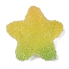 Resin Decoden Cabochons CRES-Y001-02A-06-1