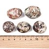 Natural Mexican Lace Agate Crazy Lace Agate Beads GG-CBAD0F6-B07-01-2