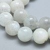 Natural Rainbow Moonstone Beads Strands G-F674-08-8mm-3