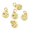 Brass Charms LS-ZIRC-E164-57G-1