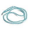 Electroplate Glass Faceted Rondelle Beads Strands EGLA-D020-3x2mm-M-4