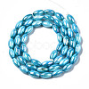 Freshwater Shell Beads Strands SHEL-N026-141C-2