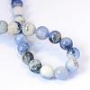 Natural Sodalite Round Bead Strands G-E334-6mm-08-3