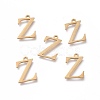 304 Stainless Steel Charms STAS-K215-17G-1