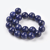 Natural Lapis Lazuli Beads Strands G-G087-10mm-2