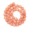 Natural Mashan Jade Beads Strands DJAD-12D-18-2-3