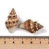 Natural Spiral Shell Beads SHEL-K009-17C-3