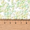 6/0 Glass Seed Beads X1-SEED-M012-01A-04-4