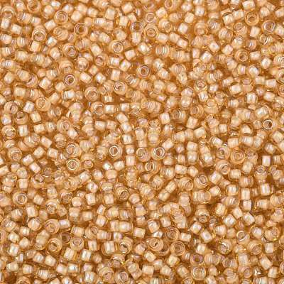 TOHO Round Seed Beads SEED-TR08-0391-1