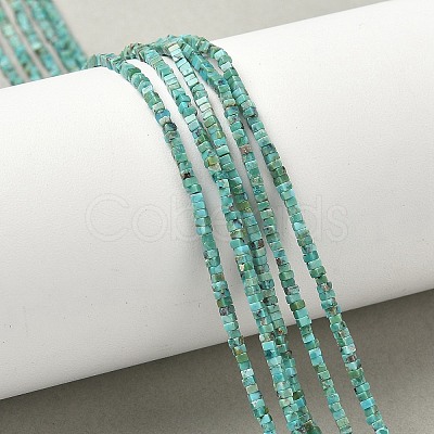 Natural HuBei Turquoise Beads Strands G-G271-G05-1x1.5mm-1