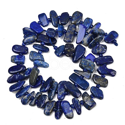 Natural Lapis Lazuli Beads Strands G-L657-E01-01-1