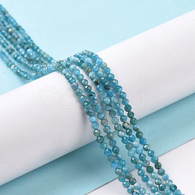 Natural Apatite Beads Strands G-E411-36-2mm-01-1