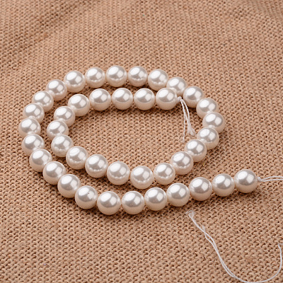 Polished Round Grade A Shell Pearl Bead Strands X-BSHE-M027-10mm-28-1