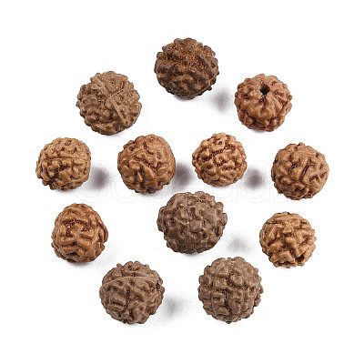 Undyed Natural Rudraksha Beads WOOD-T030-01-1