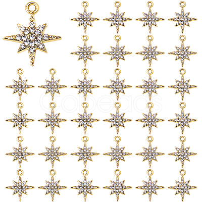 50Pcs Alloy Crystal Rhinestone Pendants FIND-DC0007-51-1