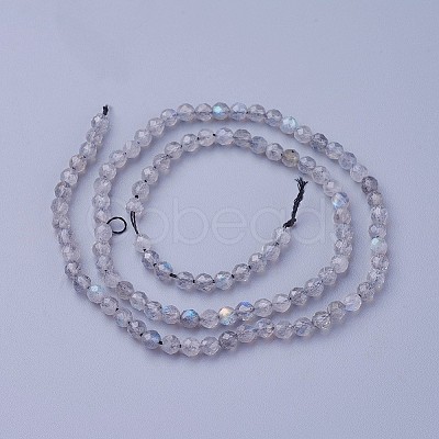 Natural Labradorite Beads Strands G-F619-15-4mm-1
