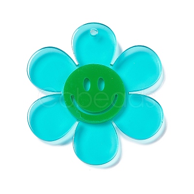 Transparent Acrylic Big Pendants LS-OACR-P012-A07-1