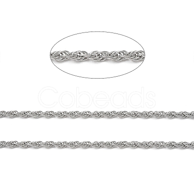 Tarnish Resistant 304 Stainless Steel Rope Chains CHS-G027-08B-P-1