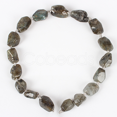 Natural Gemstone Labradorite Rough Nuggets Bead Strands G-E218-04-1