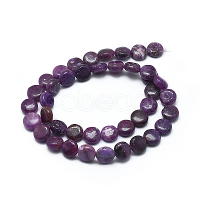 Natural Lepidolite/Purple Mica Stone Beads Strands G-F626-04-1