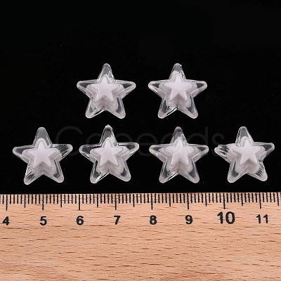 Transparent Acrylic Beads TACR-S152-11A-06-1