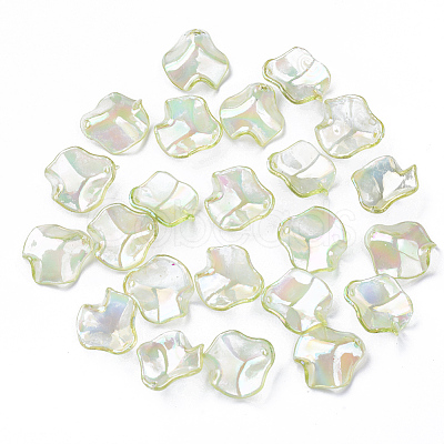Transparent Acrylic Pendants X-MACR-N007-07B-1