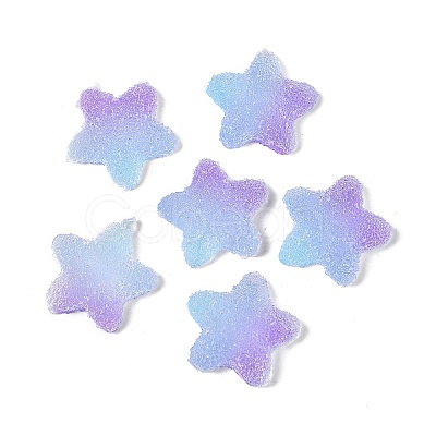 Imitation Candy Food Style Resin Cabochons RESI-R461-02N-1
