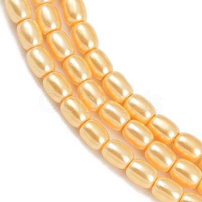 Electroplated Shell Pearl Beads Strands BSHE-H113-06A-09-1