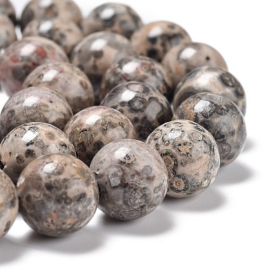 Natural Leopard Skin Jasper Beads Strands G-R474-004-1