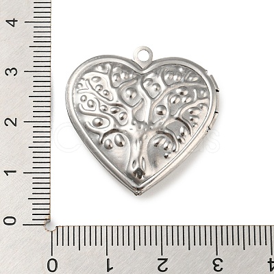 Non-Tarnish 304 Stainless Steel Locket Pendants STAS-Q253-02P-02-1